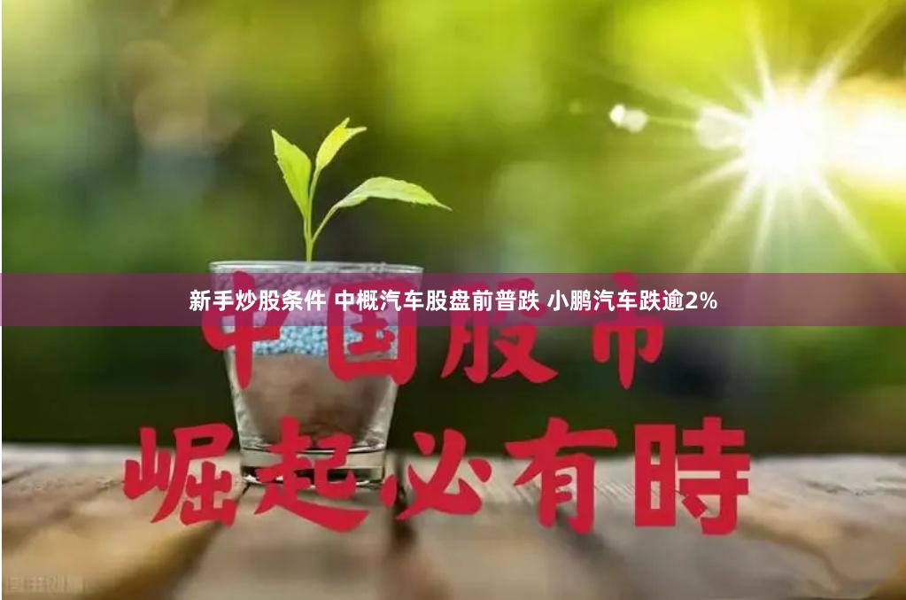 新手炒股条件 中概汽车股盘前普跌 小鹏汽车跌逾2%